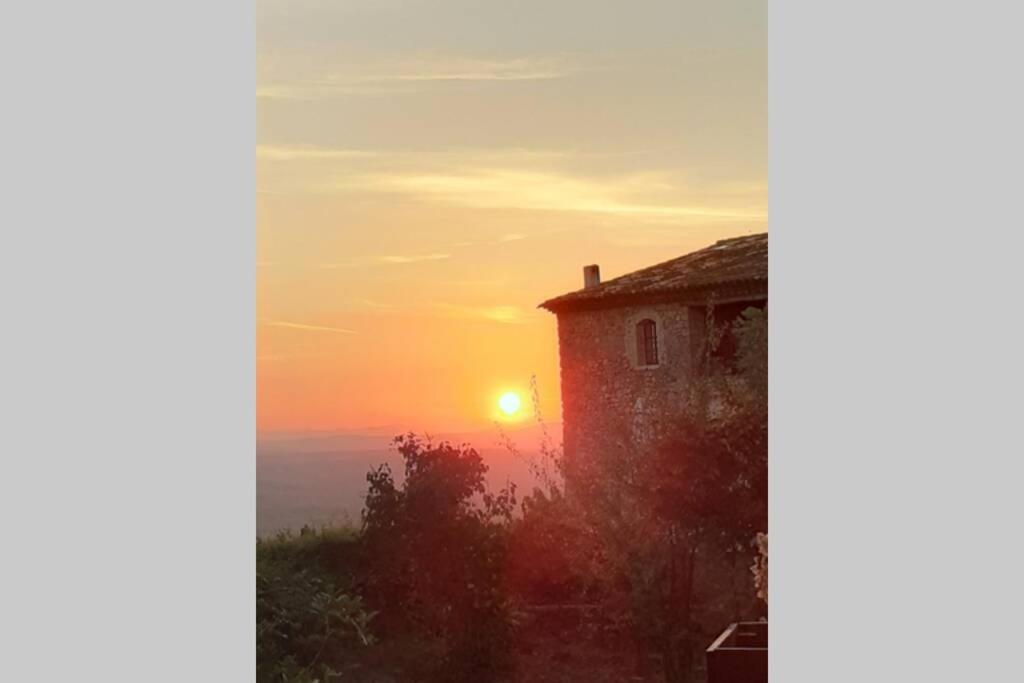 Gite Provencal Independant Avec Piscine Chauffee : Le Suy Bien Flayosc Dış mekan fotoğraf