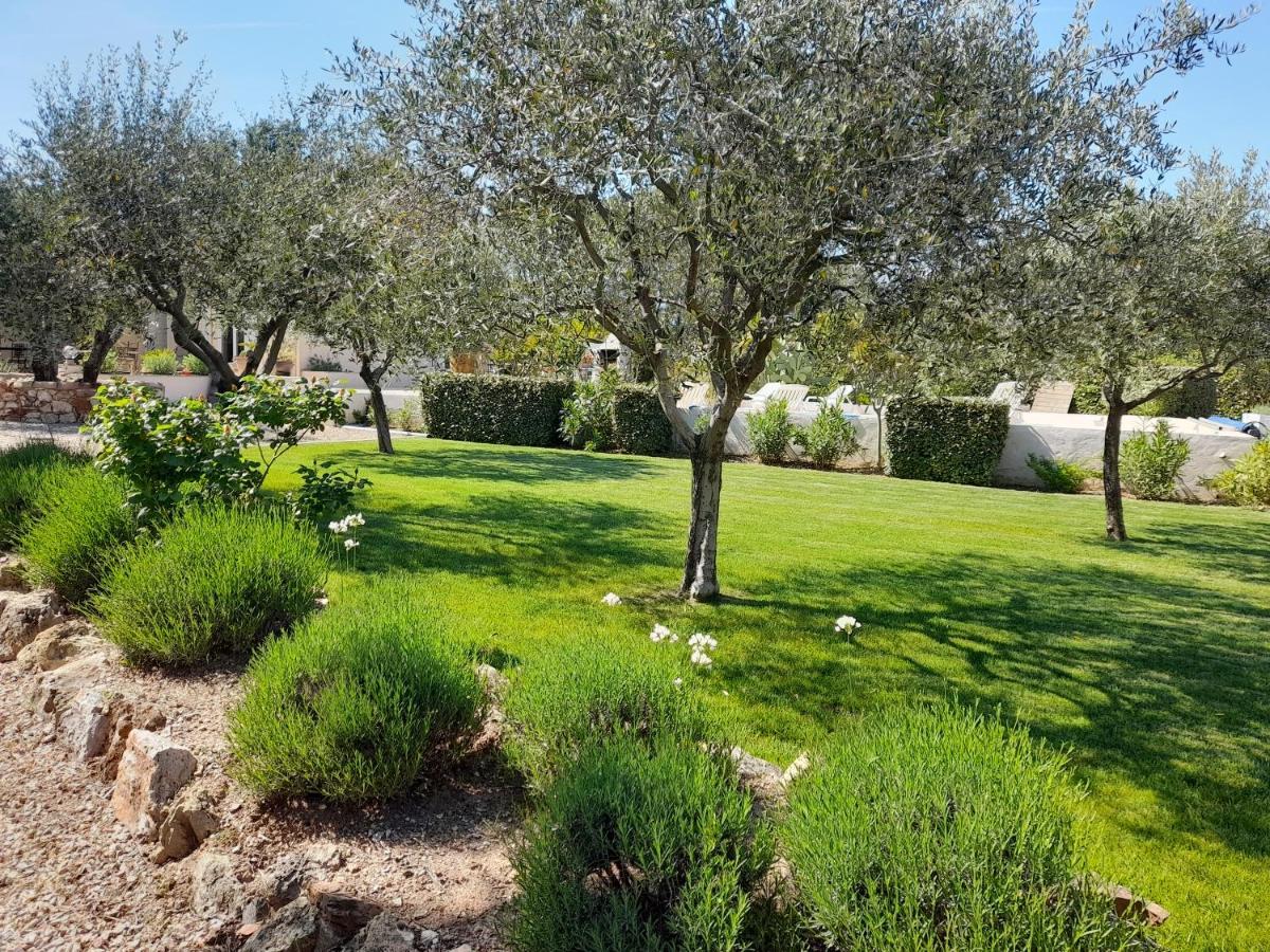 Gite Provencal Independant Avec Piscine Chauffee : Le Suy Bien Flayosc Dış mekan fotoğraf