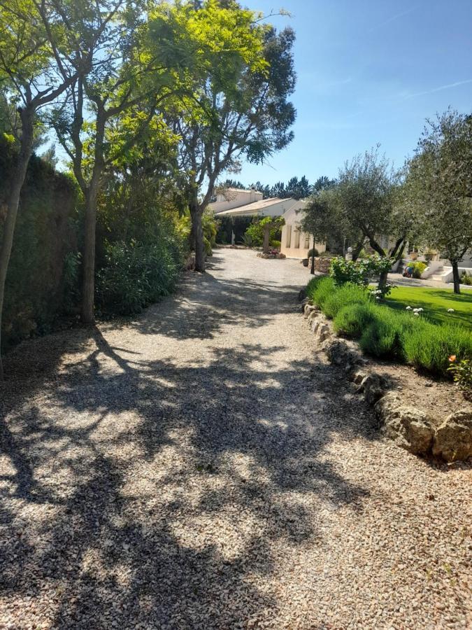 Gite Provencal Independant Avec Piscine Chauffee : Le Suy Bien Flayosc Dış mekan fotoğraf