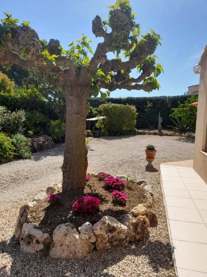 Gite Provencal Independant Avec Piscine Chauffee : Le Suy Bien Flayosc Dış mekan fotoğraf